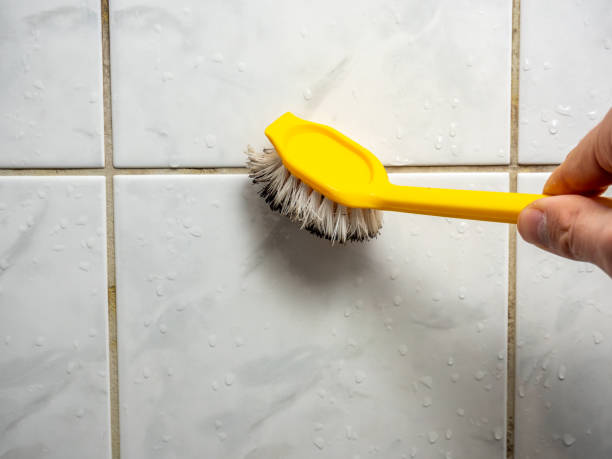  Sheboygan Falls, WI Mold Removal Pros
