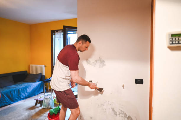 Best Residential Mold Remediation in Sheboygan Falls, WI